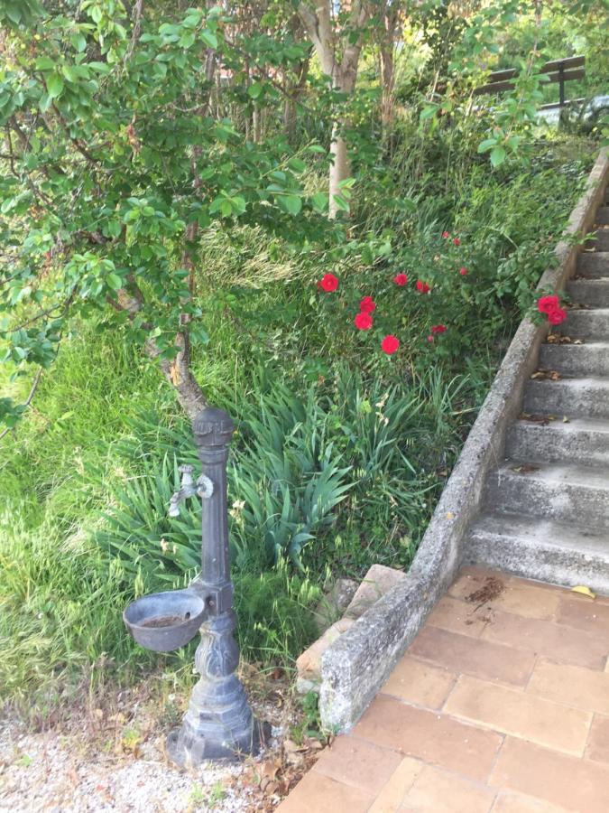 Green B&B Urbino Ca Del Vento Luaran gambar