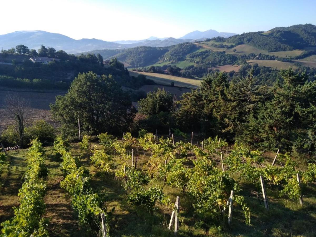 Green B&B Urbino Ca Del Vento Luaran gambar